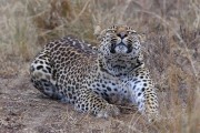 300IMG_1039