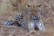 300IMG_1058