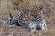 300IMG_1084