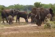 305IMG_8862