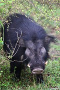 306IMG_1164