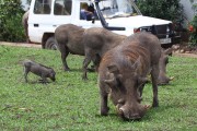 307IMG_8950