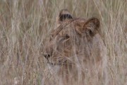 309IMG_1198