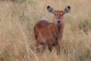 309IMG_1234