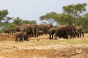 310IMG_9766