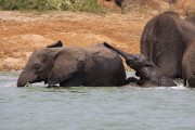 310IMG_9787