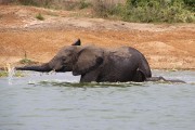 310IMG_9790