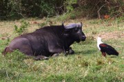 315IMG_9127