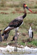 340IMG_0746