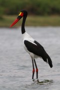 340IMG_0792