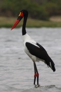 340IMG_9372