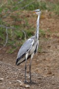 345IMG_1569