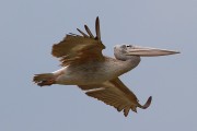 360IMG_0732