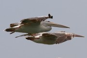 360IMG_0740