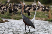 360IMG_1922