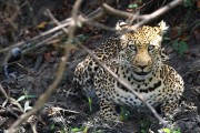 700IMG_6808