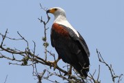 730IMG_6419