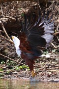 730IMG_6952