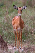 765IMG_7168