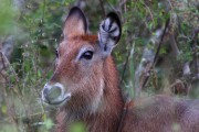 770IMG_5778