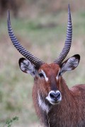 770IMG_7133
