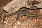 850IMG_8234