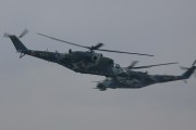 130IMG_5998