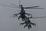 130IMG_6035
