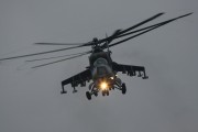 130IMG_6050