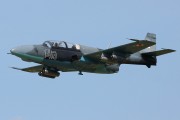 300IMG_7395