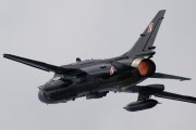 300IMG_7585