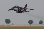 190IMG_1123