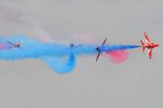 228IMG_7952
