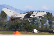 081IMG_8444