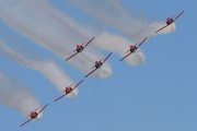 183IMG_0790