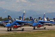 240IMG_1893
