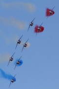 244IMG_9180