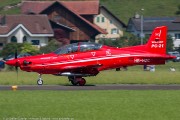 241IMG_4598