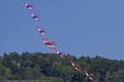 261IMG_3972