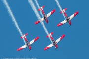 262IMG_4648