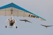 110IMG_3373