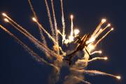 141IMG_7356
