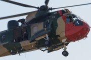 161IMG_8445