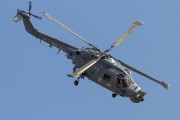 300IMG_8884