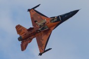 380IMG_9210
