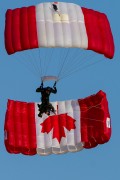 460IMG_9501