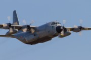 460IMG_9677