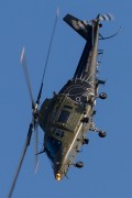 500IMG_9823