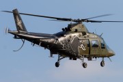 500IMG_9866