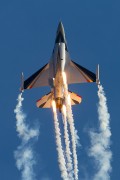540IMG_0043